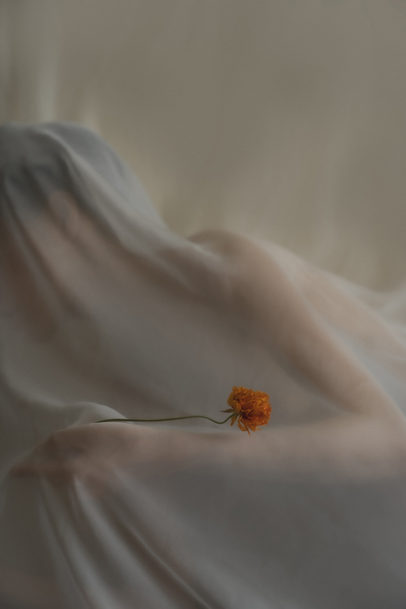 Photography by Ziqian Liu